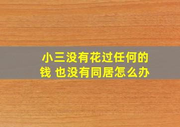 小三没有花过任何的钱 也没有同居怎么办